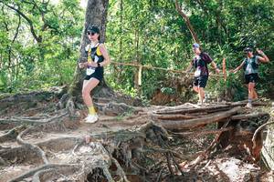 BIB: 
                            <button type="button" onclick="openModal(27719833)" class="btn btn-primary btn-sm float-right btn-popup" data-toggle="modal" data-target=".modal-high-quality">
                        <i class="fas fa-shopping-cart"></i> Add to Cart
                    </button>
                                            <button type="button" onclick="isThisMe(27719833, true)" class="btn btn-success btn-sm float-right btn-popup btn-isme hidden" data-toggle="tooltip" data-placement="bottom" title="นี่คือรูปของคุณใช่ไหม คลิกที่นี่เพื่อเอาเข้าอัลบั้ม">
                        <i class="fas fa-plus"></i> Add to album
                    </button>
                    <button type="button" onclick="isThisMe(27719833, false)" class="btn btn-warning btn-sm float-right btn-popup btn-isnotme hidden">
                        <i class="fas fa-ban"></i> Remove from album
                    </button>